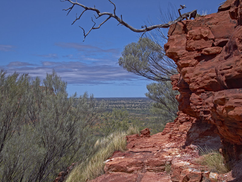 Kings Canyon